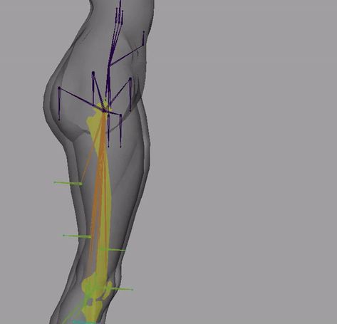 Here's How You Can Set Up an Anatomically Correct Human Body Rig Sculpting Reference Human Anatomy, 3d Rigging, Leg Anatomy, 3d Anatomy, Character Rigging, Sculpting Tutorials, Body Tutorial, Photorealistic Rendering, Anatomy Sculpture