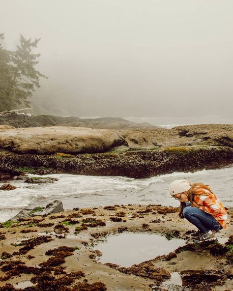 Woods Family | AdventureTravel on Instagram: “This is where tide pool dreams come true.  The mecca of tide pools.  5 Star tide pool ratings.  If there were Michelin stars for tide…” Tide Pool Aesthetic, Tide Pooling, Ocean Vbs, Ocean Ideas, Ocean Stuff, Pool Photography, Tidal Pool, Tide Pool, Canada Travel Guide