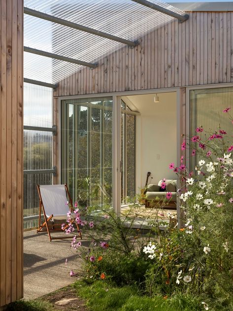 Indoor Courtyard, Outside Room, New Zealand Houses, Australian Garden, Internal Courtyard, Australian Architecture, Wildflower Garden, Garden Studio, Modern Cabin