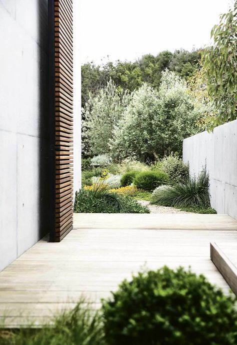 From courtyards to patios and wide, open lawns, this collection of 20 beautiful backyards will inspire you to make these most of your outdoor landscaping space. Landscape Gardening, Australian Native Garden, Feuille Eucalyptus, Australian Garden, Australian Native Plants, Plant Projects, Meteor Garden 2018, Coastal Gardens, Magic Garden