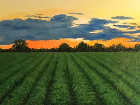 Sunset on the farm Farmland Painting, Country Sunset Painting, Midwest Painting, Sunset Farm Painting, Farm Field Painting, Farm Landscape Painting, Farm Painting, Farm Wall Art, Landscaping Software