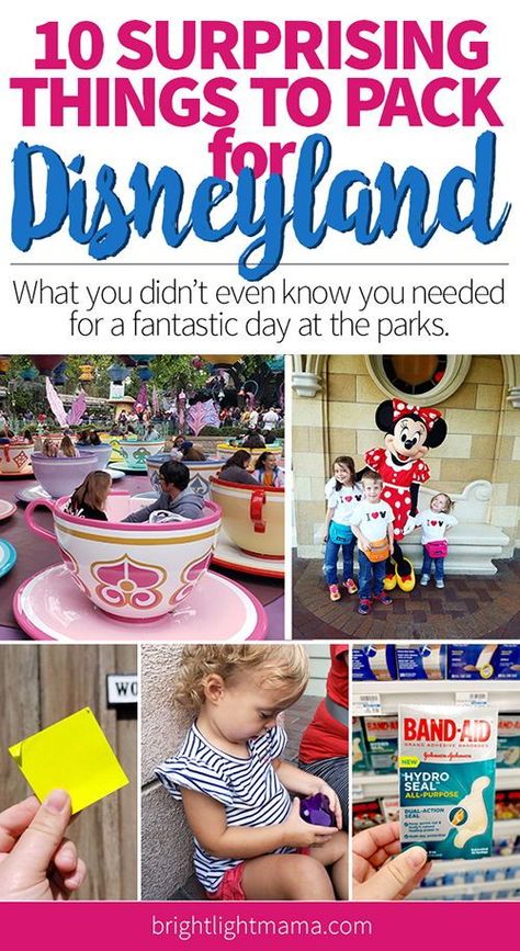 Disneyland With Kids, Toddler Packing List, Disneyland With A Toddler, Disneyland Backpack, Packing List For Disney, Things To Pack, Kids Checklist, Family Of 6, Disneyland Tips