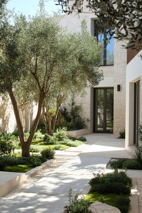 Mediterranean Garden With Pool, Contemporary Mediterranean Garden, Olive Trees Front Garden, Mediterranean Modern Garden, Meditterean Garden Backyards, Modern Mediterranean Landscape Design, Modern Spanish Courtyard, Modern Mediterranean Landscape, Mediterranean Courtyard Ideas