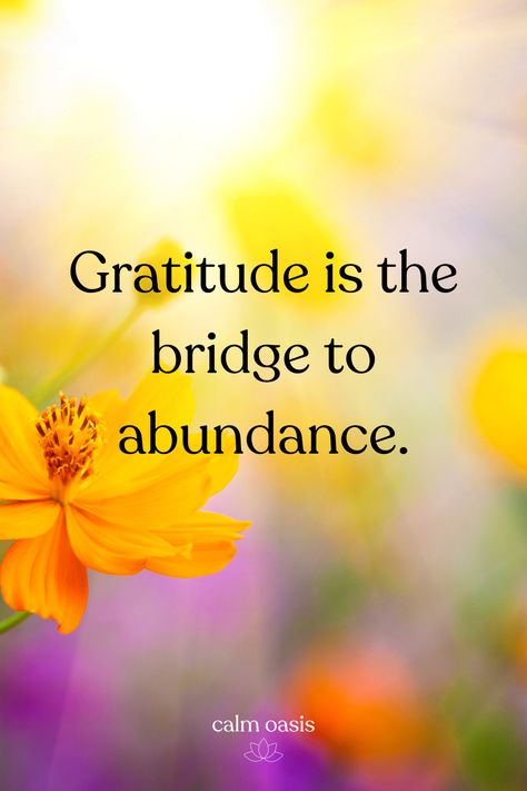 Gratitude Quotes | Abundance | Manifestation Abundance Quotes Gratitude, Gratitude And Mindfulness, Gratitude Quotes Thankful I Am Blessed Daily Affirmations, Affirmations Gratitude Thankful For, Quotes Abundance, Gratitude Quotes Inspiration, November Blessings, Manifest Journal, Gratitude Brings Abundance