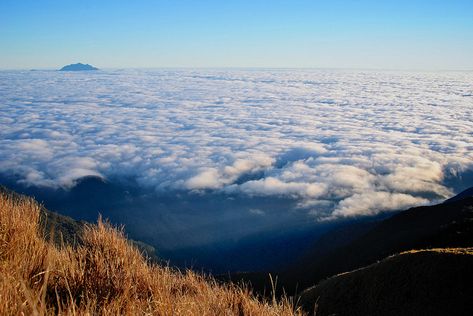 Sea of Clouds, Mount Pulag, Philippines Mt Pulag Photography, Mt Pulag, Philippines Tourism, Sea Of Clouds, Trail Hiking, Sea To Summit, Baguio, Philippines Travel, Above The Clouds