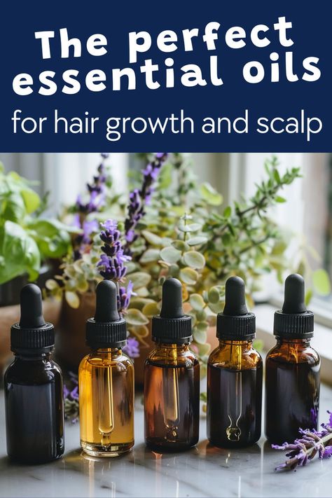 Essential oils for hair growth and scalp. Text reads: The perfect essential oils for hair growth and scalp. Hair Growth Essential Oil Recipe, Best Essential Oils For Hair, Hair Thickening Oil, Essential Oils For Hair Growth, Diy Hair Growth Oil, Hair Growth Oil Recipe, Diy Hair Growth, Oils For Hair Growth, Essential Oil Hair Growth