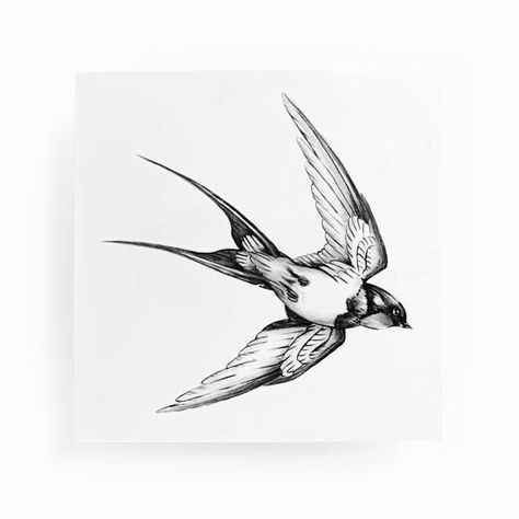 Mens Swallow Tattoo, Swallow Tattoo Men, Swallow Sketch, Sparrow Tattoo Design, Swallow Tattoo Design, Swallow Bird Tattoos, Tattoo Homme, Bird Tattoo Men, Vogel Tattoo