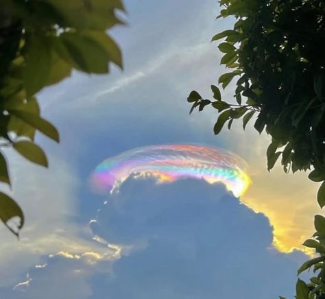 Cloud iridescence over Malaysia.  Photo:  Vicky Wills. Cloud Iridescence, Rainbow Images, Ap Studio Art, Rainbow Sky, Sky Full Of Stars, Aesthetic Fonts, Profile Pictures Instagram, Cute Flower Wallpapers, Nature Drawing