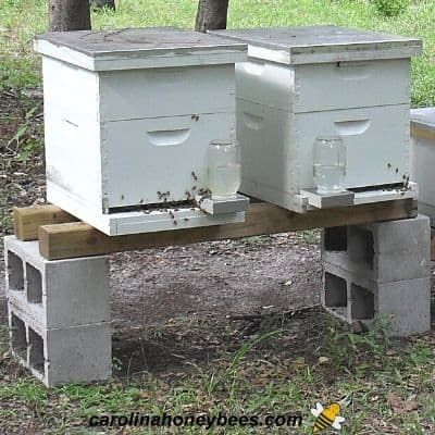 Why Beekeepers Use Hive Stands - Carolina Honeybees Beehive Stand Ideas, Hive Stand Ideas, Bee Hive Stands Diy, Bee Hive Stands Ideas, Beehive Stands, Bee Hive Setup, Beehive Stand, Hive Stands, Top Bar Bee Hive Plans