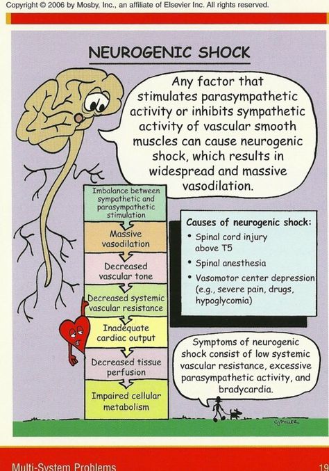 Neurogenic Shock Neurogenic Shock, Emt Study, Nursing Cheat Sheet, Paramedic School, Nursing Information, Nursing Cheat, Nursing Mnemonics, Nursing School Survival, Critical Care Nursing