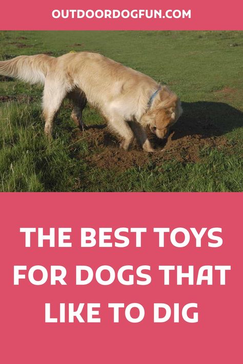 What toys do we recommend for dogs that like to dig? Digging mats, squeaky toys, treat stuffers, chew toys, and snuffle mats. We focus on 5 toys. Read on. Dog Toys For Outside, Diy Stimulating Dog Toys, Outdoor Dog Toys Play Areas, Outside Dog Toys, Activities For Dogs Outdoor, Diy Dog Enrichment Toys, Yard Toys For Dogs, Dog Toys Diy Homemade, Dog Play Ideas