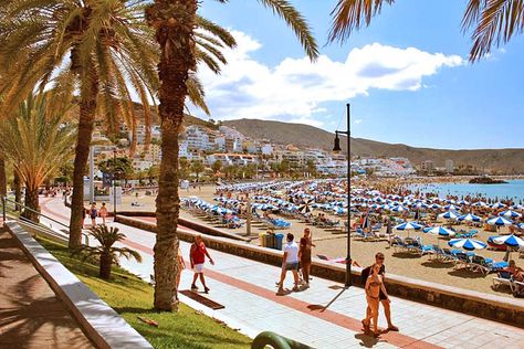 Playa de las Americas, Tenerife | Weather2Travel.com Canary Islands Tenerife, Cheap Things To Do, Cheap Things, Island Travel, Island Vacation, Island Beach, Canary Islands, Best Places To Travel, Holiday Rental