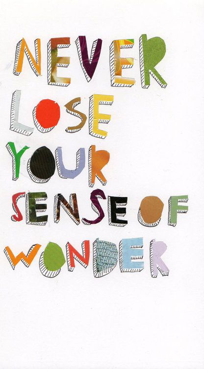 Never lose your sense of WONDER! Pola Sulam, Quotable Quotes, Losing You, Famous Quotes, The Words, Great Quotes, Beautiful Words, Inspirational Words, Cool Words