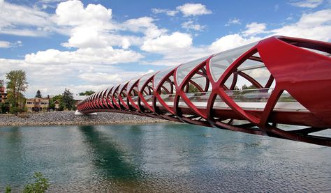 Peace Bridge – Calgary, Alberta - Atlas Obscura Peace Bridge, Bridge Architecture, New Architecture, Santiago Calatrava, Island Park, Zaha Hadid Architects, Landscape Architecture Design, Pedestrian Bridge, Bridge Design