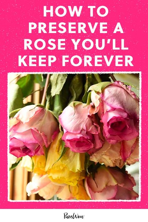 How To Save A Rose Forever, Preserve A Rose, How To Dry Out Flowers, Preserve Roses, Pressed Roses, Dried Flowers Diy, Forever Roses, 12 Roses, How To Make Rose