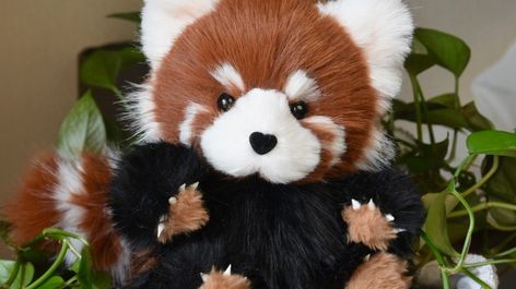 🌟 Meet Your New Favorite Plush: Our Realistic Red Panda Toy! 🐾 Obsessed with red pandas? 🐼 Now you can bring home your very own lifelike Red Panda Plush! 🧸 Handmade with love and attention to detail, this one-of-a-kind (OOAK) stuffed animal is perfect for collectors, wildlife lovers, or anyone who adores unique plush toys. Every plush is custom-crafted, making it a truly special addition to your collection or the perfect gift for someone who loves these adorable creatures! 🎁💕 💡 Why You'll ... Red Panda Plush, Panda Plush, Adorable Creatures, Red Pandas, Red Panda, Weird Animals, Spirit Animal, Stuffed Animal, Plush Toys