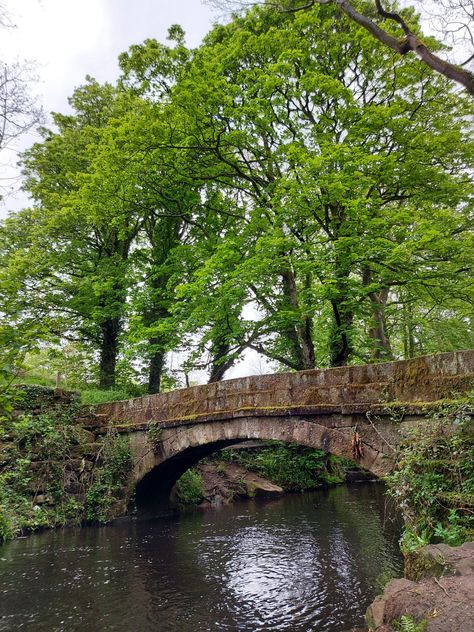 English Woodland, Zoo Inspiration, Pixar Films, Stone Bridge, Old Bridge, Wipe Out, Old Stone, Garden Bridge, Terrarium