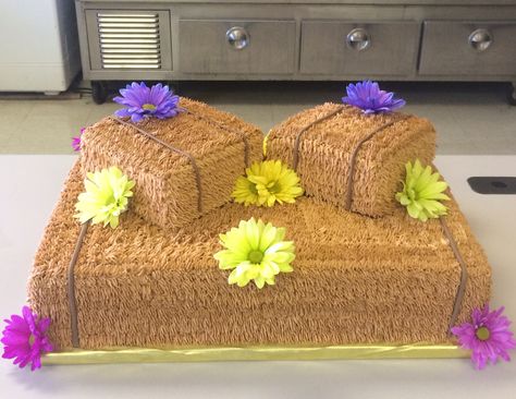 Hay bale cake for Country theme banquet. Hay Bale Cake, Hay Bail, Tractor Birthday Cakes, Ag Day, Farm Animal Party, Tractor Birthday, Country Theme, Hay Bales, Birthday Boy