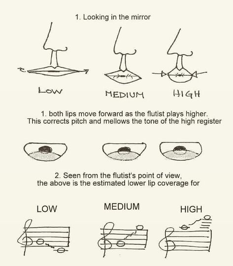 Flute embouchure Trumpet Fingering Chart, Flute Fingering Chart, Flute Problems, Flute Lessons, Harmonica Lessons, Reading Sheet Music, Trumpet Music, Not Musik, Band Jokes