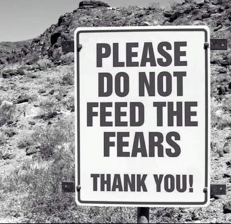 Please don't feed the fears quote Homework Help, Visual Statements, A Sign, Please Do, Great Quotes, Success Quotes, Homework, Life Lessons, Wise Words