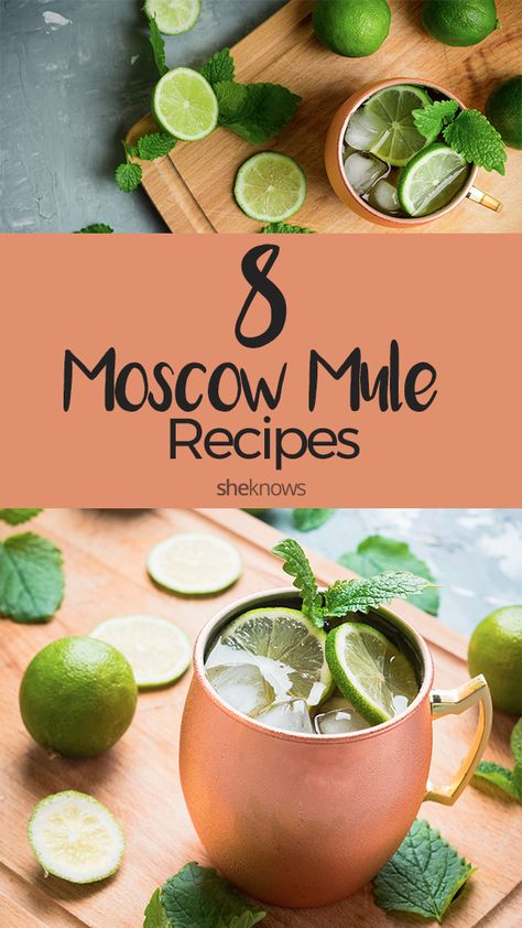 You haven't lived until you've tried all of these yummy spins on a Moscow mule Jalapeno Mule Recipe, Caribbean Mule Recipe, Moscule Mule Recipe, Summer Moscow Mule Recipe, Different Mule Drinks, Spring Moscow Mule Recipe, Green Moscow Mule, Flavored Moscow Mule Recipe, Big Batch Moscow Mule