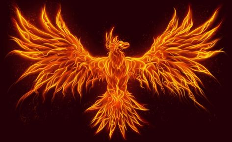 Symbolic Meaning of the Phoenix on Whats-Your-Sign Ancient Protection Symbols, Phoenix Wallpaper, Phoenix Artwork, Phoenix Images, Phoenix Tattoo Design, Mythical Birds, Protection Symbols, Phoenix Art, Legends And Myths