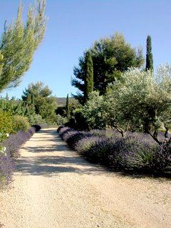 Mediterranean Garden Design, Provence Garden, Tuscan Garden, Spanish Garden, Driveway Landscaping, Gravel Path, Mediterranean Landscaping, Pea Gravel, Desert Garden