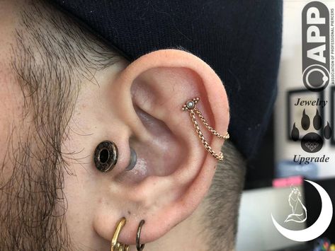 @PIERCEDBYAWOLF  @MASTERPIERCEPROFESSIONAL  @WEARWOLFPRODUCTS  Piercedbyawolf did this awesome chain upgrade on this outer helix with a Sabrina 2 from @anatometalinc  #outerhelix #cartlidge #piercings #goldwork #chain #earpiercing #ear #masterpierce #piuercedbyawolf #wearwolfproducts #cutepiercings #cute Cartlidge Piercings, Aesthetic Piercings, Helix Chain, Piercing Flat, Cute Piercings, Gold Work, Body Mods, Helix, Ear Piercings