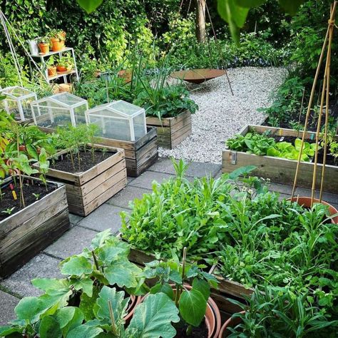 35 creative container vegetable garden ideas such as beautiful planters, vertical gardening, DIY pots, grow bags, & transforming recycled gallon buckets! - A Piece of Rainbow, backyard, garden, vegetable gardening ideas, small space tips, grow your own food, homestead, homesteading, spring, summer, edible garden, landscaping Rental Vegetable Garden, Budget Vegetable Garden, Container Garden Layout Ideas, Bucket Vegetable Gardening, Grow Bags Gardening Ideas, Vertical Gardening Diy, Container Vegetable Garden Ideas, Grow Bag Garden, Vegetable Container Garden