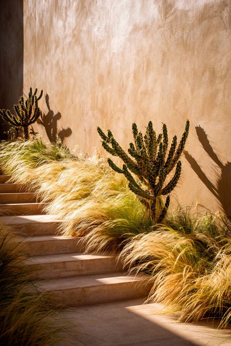 Capo Boutique Hotel - Picture gallery 16 Pool Area Landscaping, Ochre Lighting, Bali Decor, 2023 Picture, Backyard Balcony, Mediterranean Landscaping, Hospitality Projects, Natural Sunlight, Private Garden