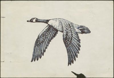 Flying Geese Drawing, Canadian Geese Drawing, Canada Goose Drawing, Canadian Geese Tattoo, Canadian Goose Art, Canada Goose Tattoo, Canadian Goose Drawing, Canadian Goose Tattoo, Wild Geese Tattoo