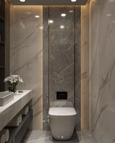 Modern Toilet Design Ideas, Tiny Toilet Room Ideas, Toilet Modern Design, Modern Half Bathroom Ideas, Modern Toilet Design, Bathroom Wall Design, Toilet Design Ideas, Toilet Interior Design, Modern Bathroom Design Tile