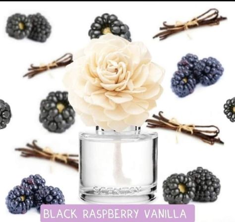 Delicious, sun-sweetened dark berries warmed with vanilla. Our elegant Fragrance Flower releases beautiful scent while looking lovely in any space. Just set it out and enjoy — no plug, no problem. Scentsy Uk, Black Raspberry Vanilla, Cosy Corner, Vanilla Fragrance, Black Raspberry, Facebook Posts, Reed Diffuser, Dahlia, Raspberry