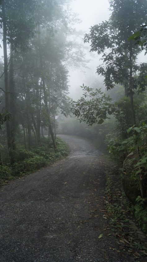 Darjeeling Seven Points - Seven Points is a wonderful hill station in Darjeeling. Explore the this photo gallery & know more about the heavenly place. #photography #darjeeling #naturephotography #landscapephotography Hills Station Photography, Hill Stations Photography, Hill Station Wallpaper, Hill Station Aesthetic, Ooty Hill Station Photography, Hill Station Photography, Darjeeling Photography, Ooty Hill Station, Hill Background