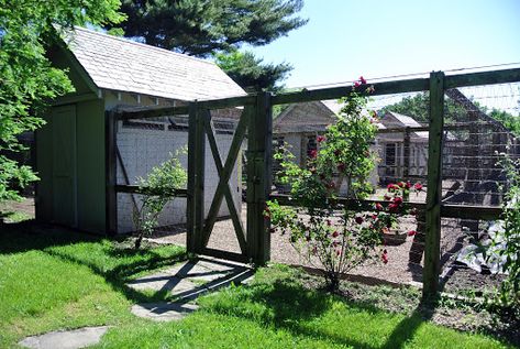 Enclosed Chicken Coop, Chicken Fence, Pet Chicken, Backyard Garden Diy, Garden Layout Vegetable, Backyard Vegetable Gardens, Vegetable Gardens, Veg Garden, Backyard Chickens