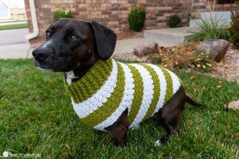 Dachshund Crochet Sweater Pattern, Crochet Dachshund Sweater, Crochet Dachshund Sweater Pattern Free, Crochet Pitbull Sweater Free Pattern, Crochet Dog Jacket, Popular Crochet Patterns, Crochet Tanktops, Crochet Dog Sweater Free Pattern, Pet Crochet