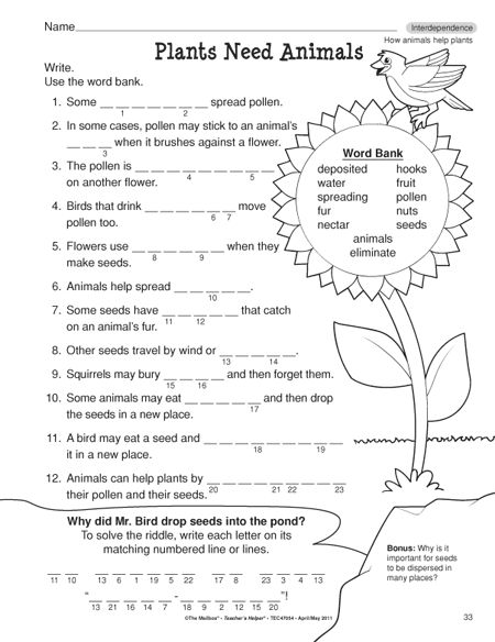 Science Worksheets Third Grade Science Worksheets, Math Mental, Reading Sentences, Photosynthesis Worksheet, Free Science Worksheets, Grade 3 Science, 6th Grade Worksheets, Second Grade Science, Homeschool Worksheets