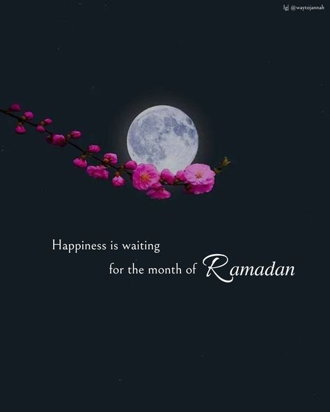 Ramzan 2024 Dp, Ramazan Quote In Urdu, Ramzan Qoutes Urdu, Ramadan Captions For Instagram, Ramzan Mubarak Image 2024, Chand Mubarak Ramzan, Ramdan Idea Gift, Ramadan Vibes Wallpaper, Ramzan Chand Mubarak