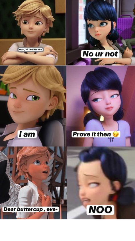 Marichat Comic, Catnoir And Ladybug, Miraculous Ladybug Kiss, Adrian And Marinette, Miraculous Ladybug Oc, Miraculous Ladybug Memes, Miraculous Ladybug Wallpaper, Miraculous Ladybug Fanfiction, Marinette And Adrien