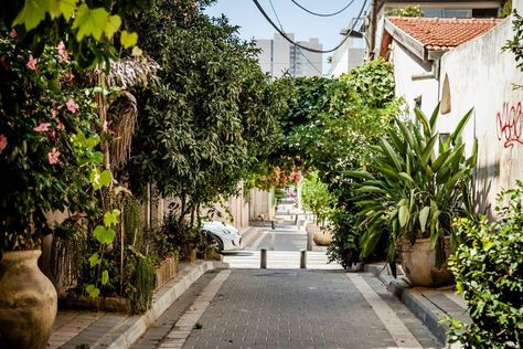 0701 - Garden Apt. Neve Tzedek - Neve Tzedek Properties Neve Tzedek, Garden Apartment, Apartment Garden, Private Garden, Apartments For Sale, Apartment Building, Ground Floor, Apartment, Living Room