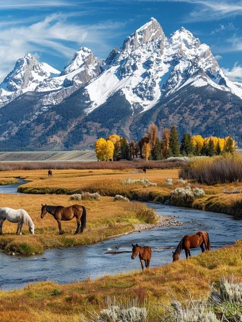 Mongolia Mountains, Mountain Reflection, Montana Landscape, Wild Horses Photography, Mountain Landscape Photography, Scenic Photography, Wildlife Nature, Landscape Pictures, Beautiful Mountains