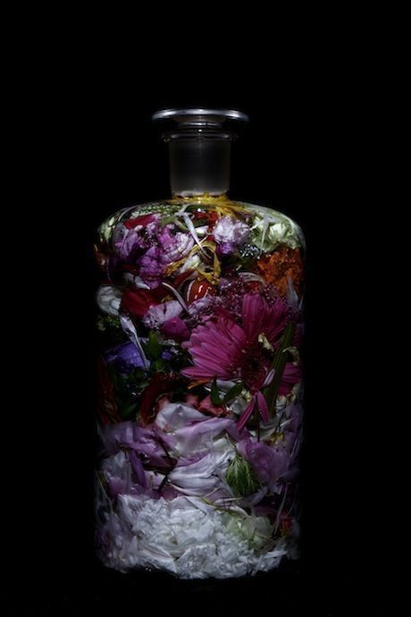 Azuma Makoto, Flower Artists, Flower Installation, Midnight Garden, Dark Floral, Arte Floral, Flowers Photography, A Black, Floral Art