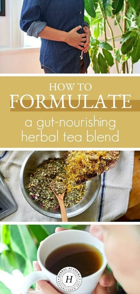 Learn how to formulate a gut-nourishing herbal tea blend from start to finish, and keep your gut happy and functioning properly! Medicinal Tea Blends, Slippery Elm Tea, Tea Blends Recipes, Tea For Digestion, Herbal Academy, Herbal Education, Medicinal Tea, Herbal Teas Recipes, Ginger Benefits