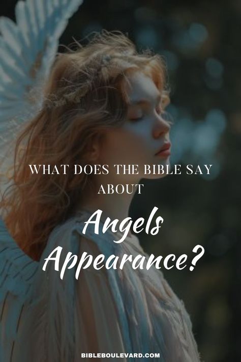 What Does the Bible Say About Angels Appearance? Angels In Bible, Angels In The Bible, Male Angels, Bible Studies For Beginners, Study Notebook, Bible Study Notebook, The Bible, Bible Study, Verses