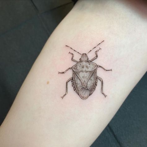 Shield Bug Tattoo, Stink Bug Drawing, Stinkbug Tattoo, Bug Back Tattoo, Leaf Bug Tattoo, Stick Bug Tattoo, Potato Bug Tattoo, Stink Bug Tattoo, Tadpole Tattoo