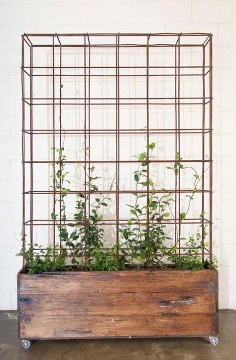 11 space-saving ways to display houseplants Industrial Planter, Steel Planters, Vertical Gardens, Have Inspiration, Balcony Garden, Plant Wall, Vertical Garden, Small Garden, Indoor Garden