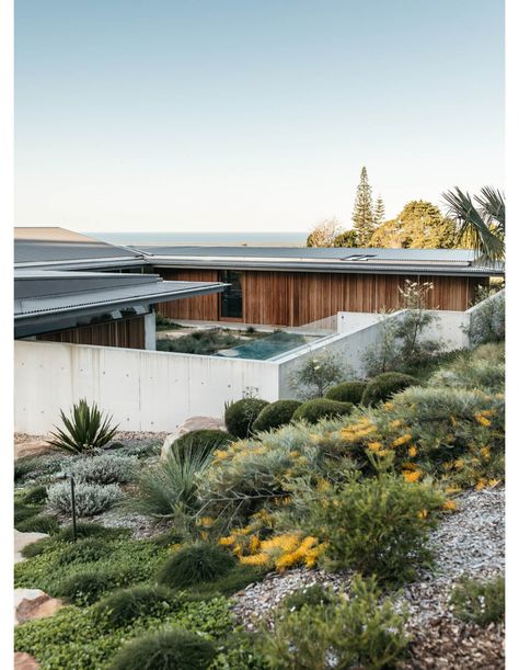 Coolamon House, Suburban Garden, Hill Landscaping, Australian Garden Design, Coastal Landscaping, Australian Native Garden, North Garden, Australian Garden, Garden Steps