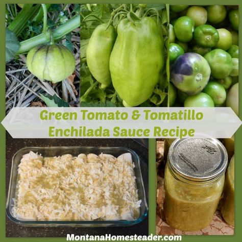 Green Tomato and Tomatillo Enchilada Sauce Recipe Canning Recipes For Tomatillos, Green Tomato Enchilada Sauce Recipe, Fresh Tomato Enchilada Sauce, Canning Green Enchilada Sauce, Tomatillo Recipes For Canning, Green Enchilada Sauce Canning Recipe, Recipes Using Tomatillos, Recipes With Tomatillos, Green Tomato Enchilada Sauce