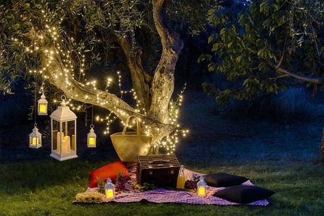 Picnic at night 😍 Pic Nic Ideas Romantic, Vday Picnic, Night Picnic, Backyard Trees, Romantic Picnics, Romantic Proposal, Pic Nic, Outdoor Picnic, Outdoor Backyard