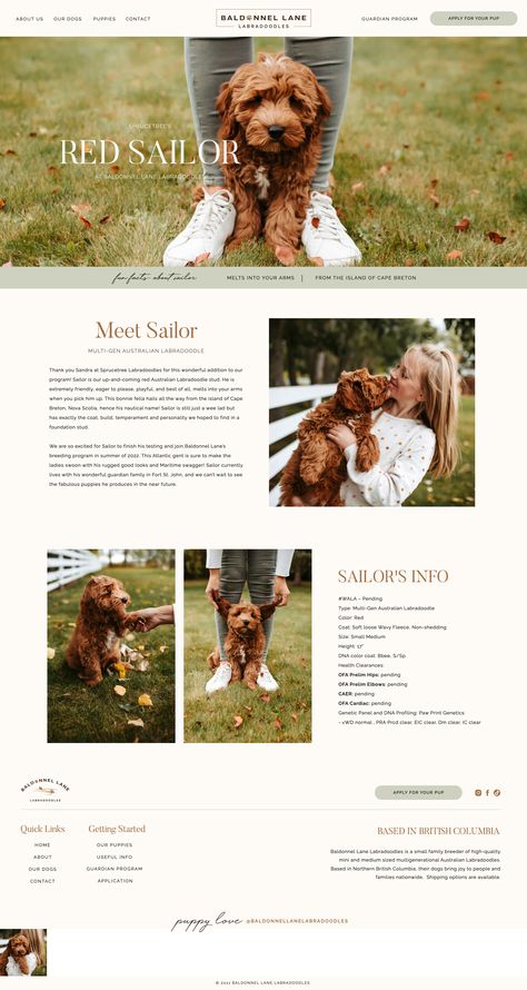 Dog Breeder Logo Design, Puppy Website Design, Dog Breeder Website Design, Dog Rescue Website Design, Dog Website Design Inspiration, Dog Training Website Design, Dog Grooming Website, Pet Website Design Inspiration, Animal Website Design